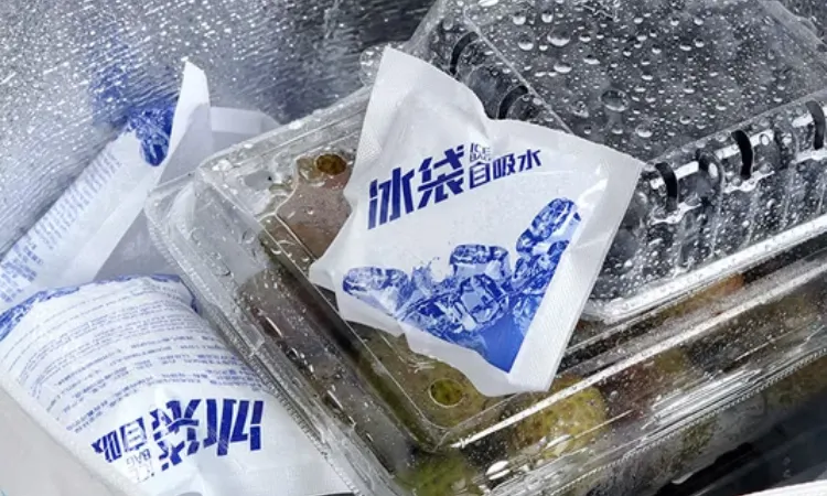 Menggunakan dry ice pack, Sumber: made-in-china.com