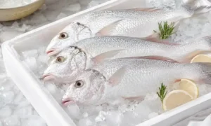 Ikan beku, Sumber: frostyfins.co