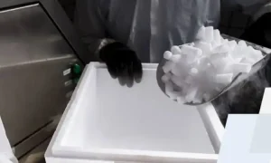 Pengiriman dry ice, Sumber: gstatic.com